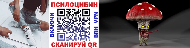 Псилоцибиновые грибы мицелий  купить  цена  Ярославль 