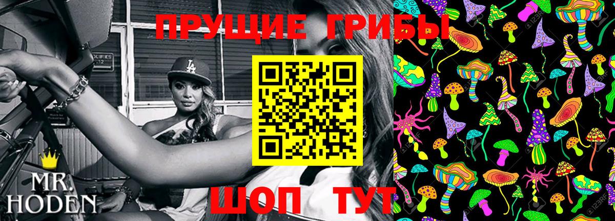 Псилоцибиновые грибы мицелий Ярославль