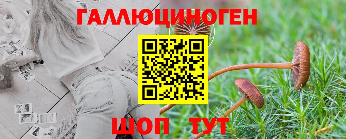 Псилоцибиновые грибы Psilocybine cubensis  Галлюциногенные грибы ЛСД  Ярославль  Вход с VPN 