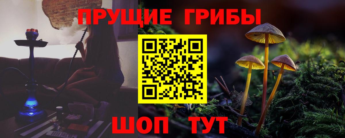 Псилоцибиновые грибы Psilocybine cubensis  Вход с VPN  Ярославль  Галлюциногенные грибы мухоморы 